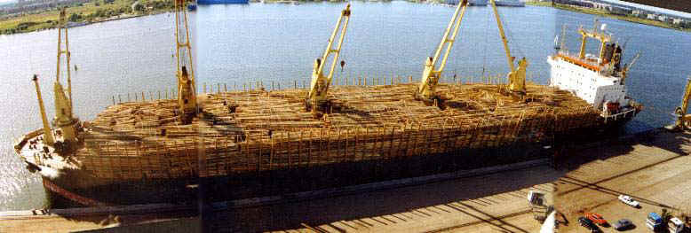 IMAN 2x96 50%.jpg (50418 Byte)