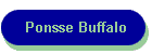 Ponsse Buffalo
