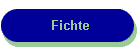Fichte