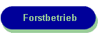 Forstbetrieb