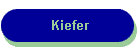 Kiefer