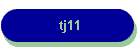 tj11