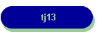 tj13